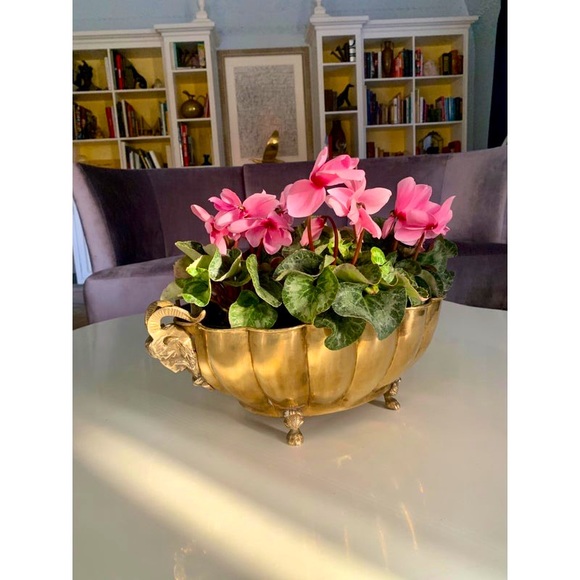 Other - Brass Jardinière with Rams Head Handles and Paw Feet